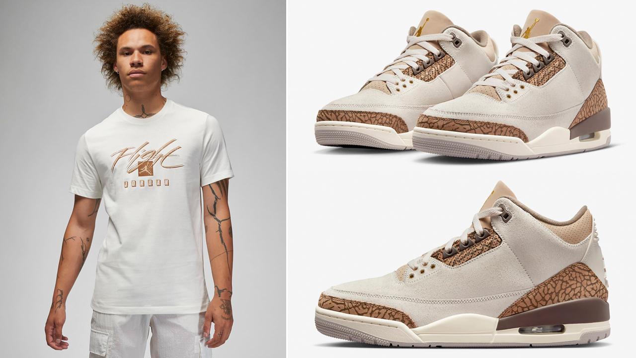 Air Jordan 3 outfit ideas 0045