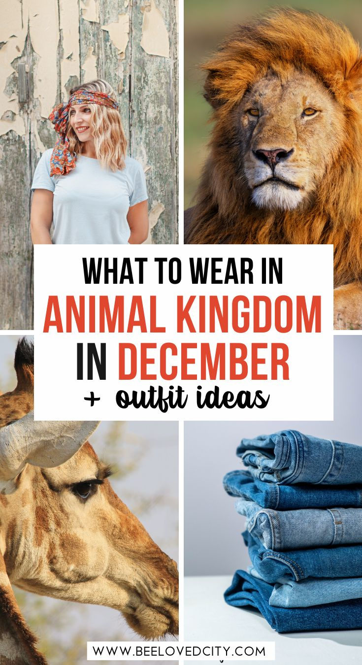 animal kingdom outfit ideas 0063