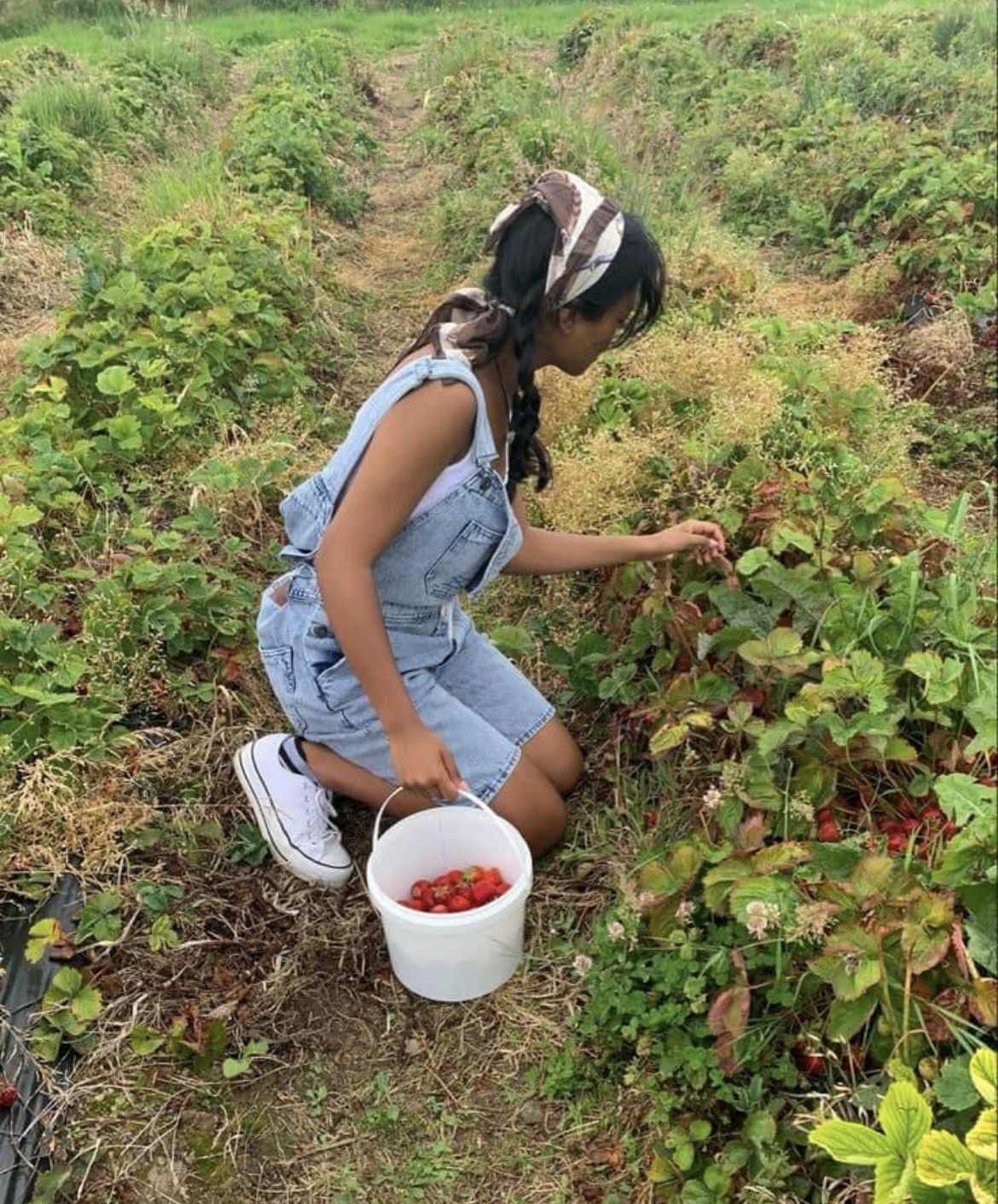 best strawberry picking outfit ideas