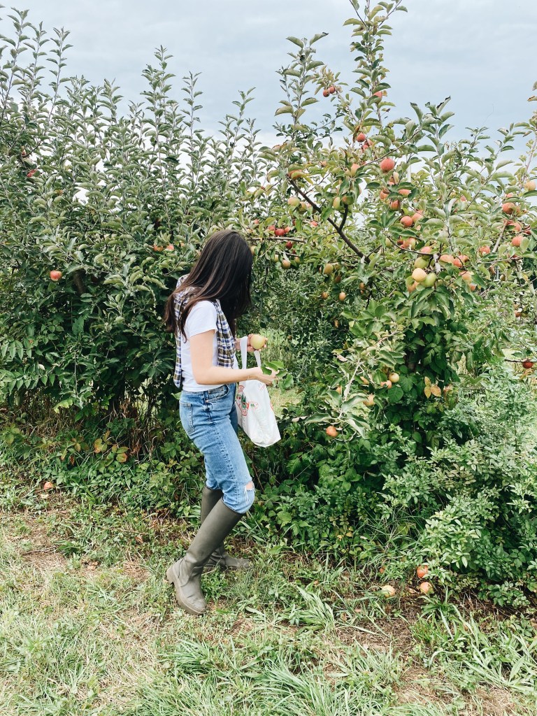 comfortable shoes for apple picking outfit ideas