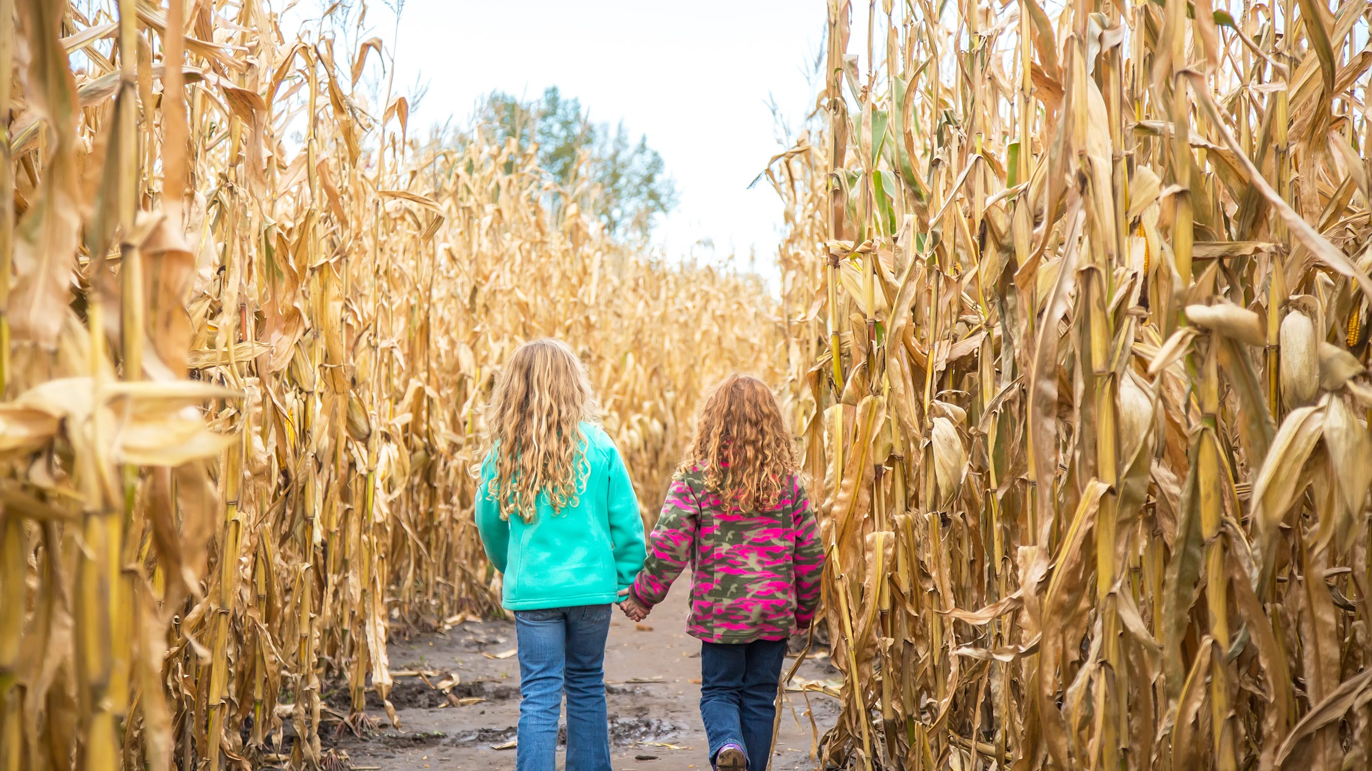 corn maze outfit ideas 0039