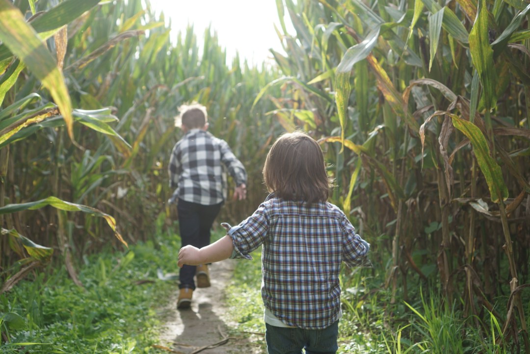 corn maze outfit ideas 0045