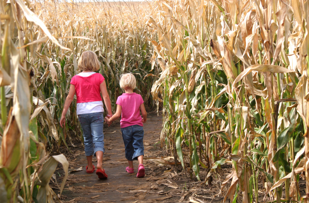 corn maze outfit ideas 0053