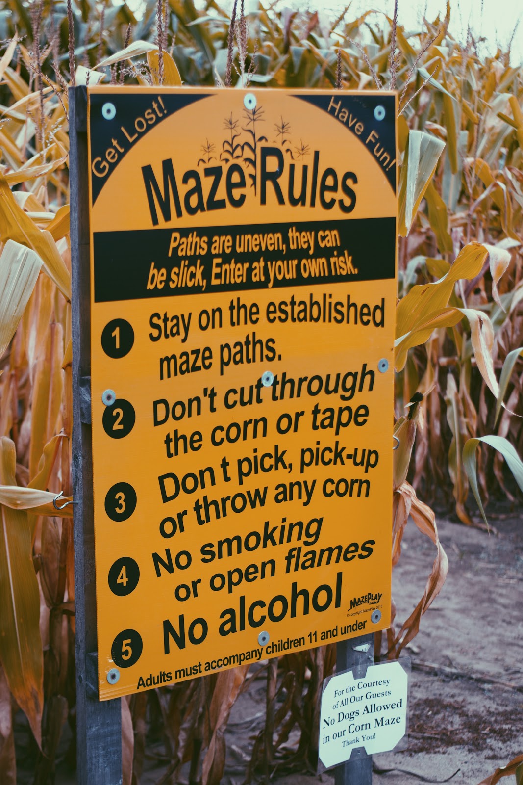 corn maze outfit ideas 0060