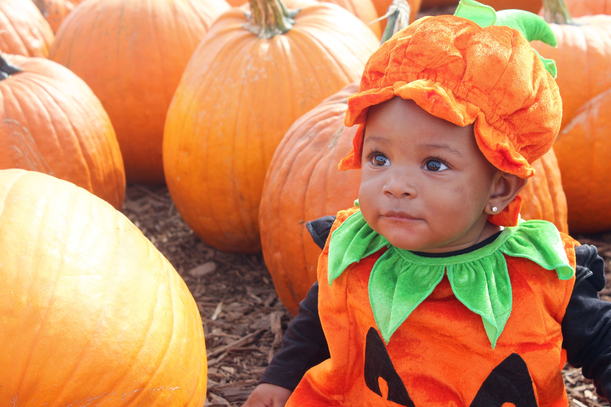 corn maze outfit ideas 0068