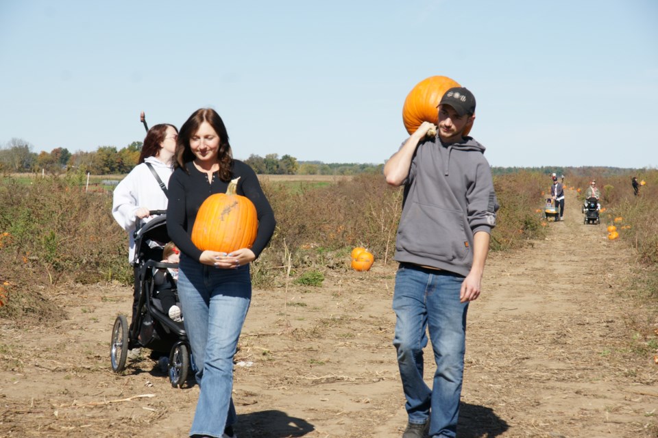 corn maze outfit ideas 0098