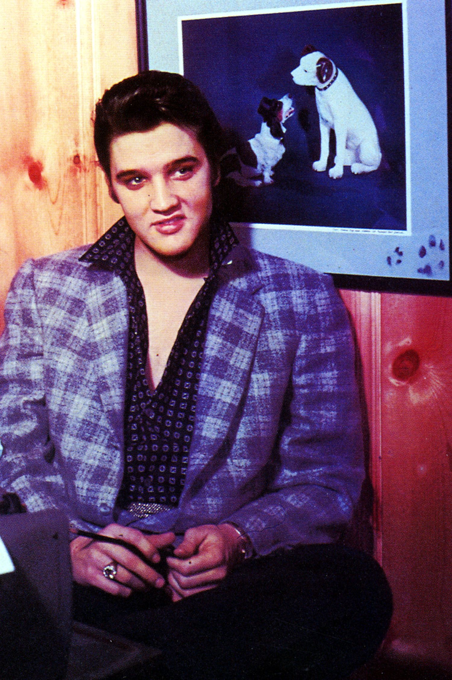 Elvis Presley outfit ideas 0093