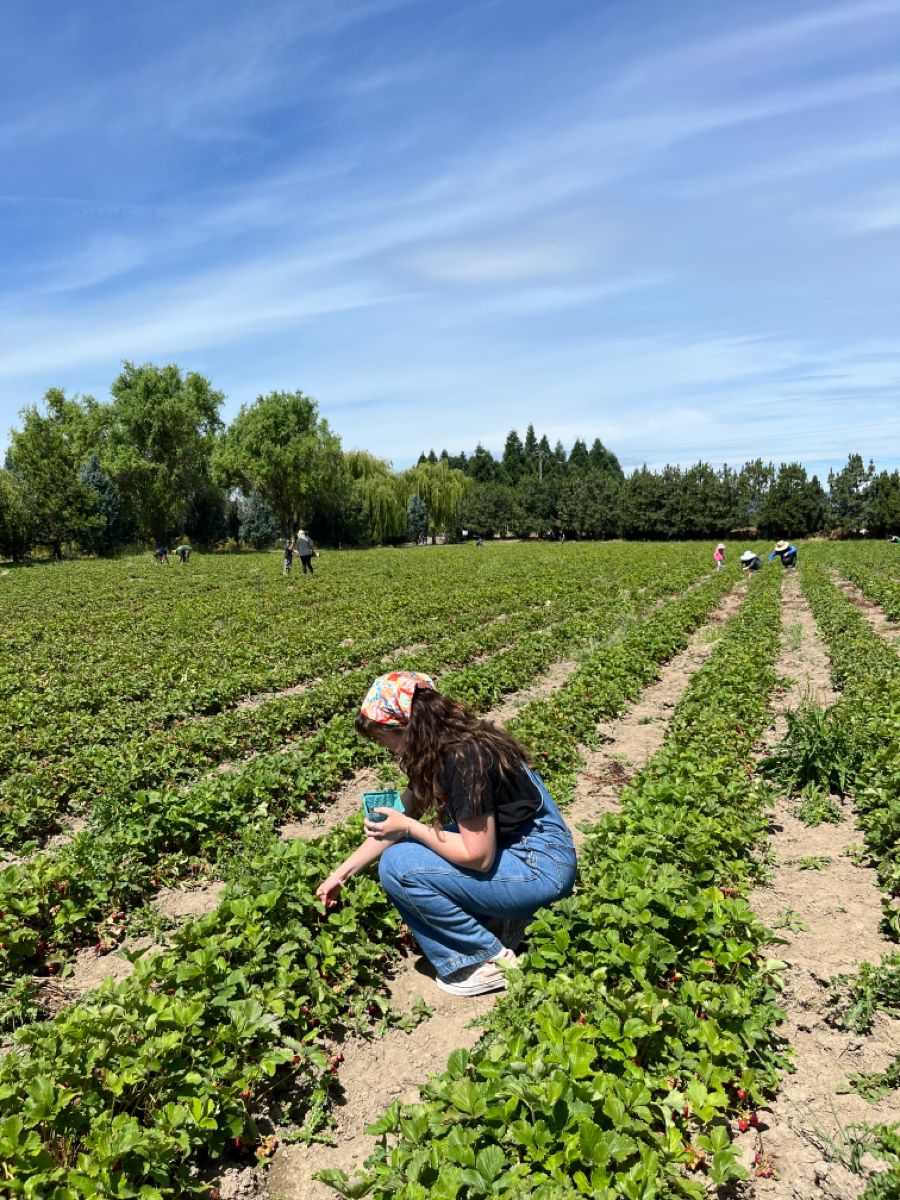 essential strawberry picking outfit ideas for sunny days