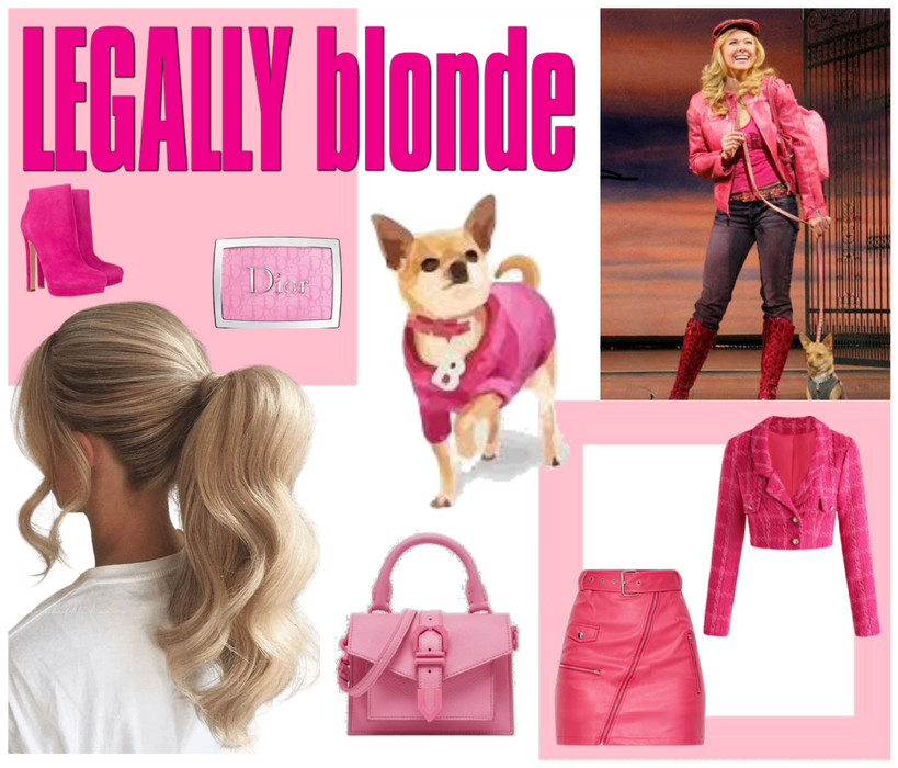 legally blonde outfit ideas 0035