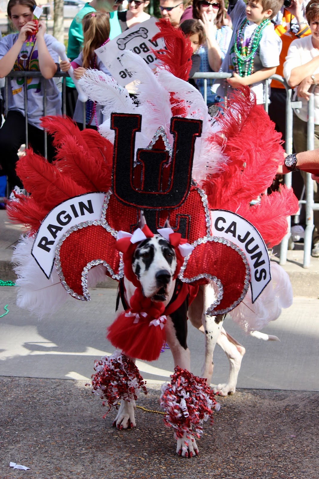 Mardi Gras outfit ideas 0076