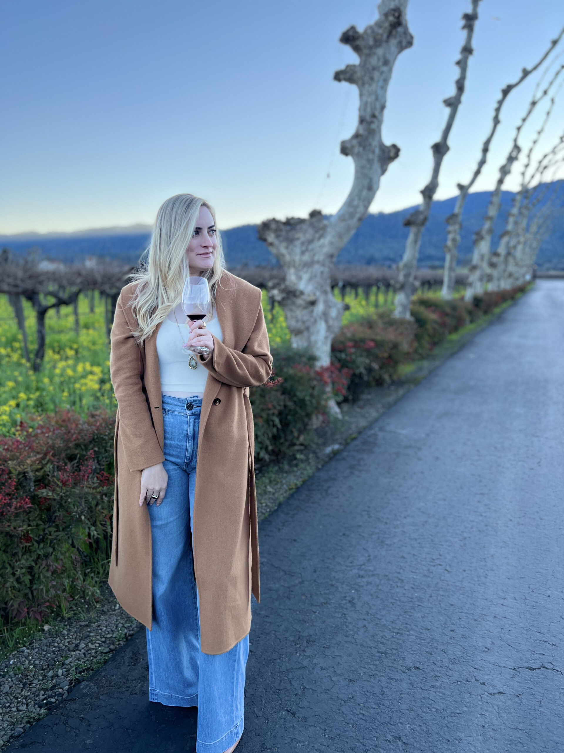 Napa Valley outfit ideas 0033