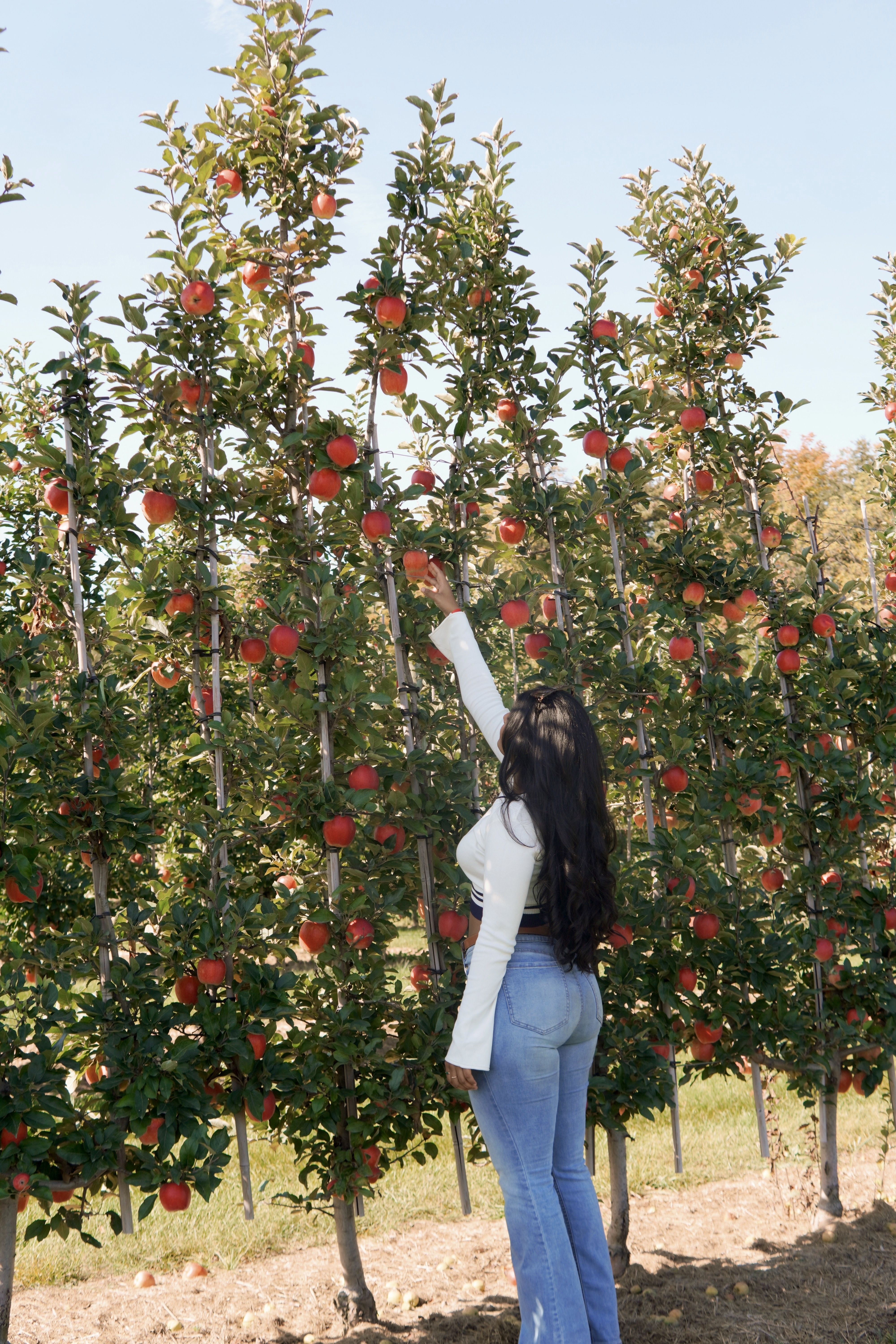 pumpkin patch outfit ideas 0056