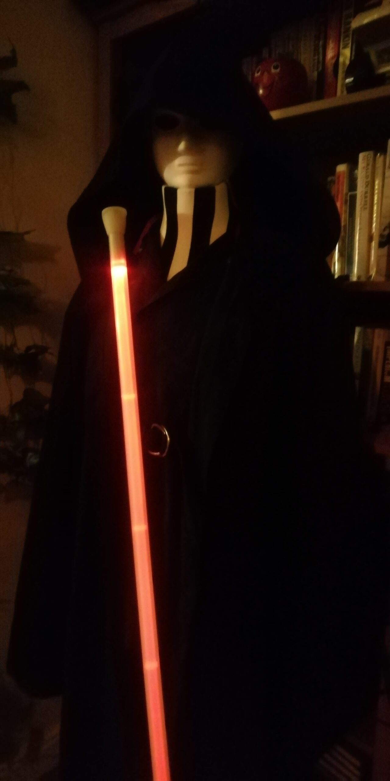 Sith outfit ideas 0069