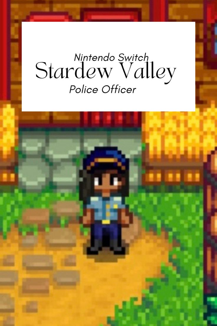 Stardew Valley outfits ideas 0046