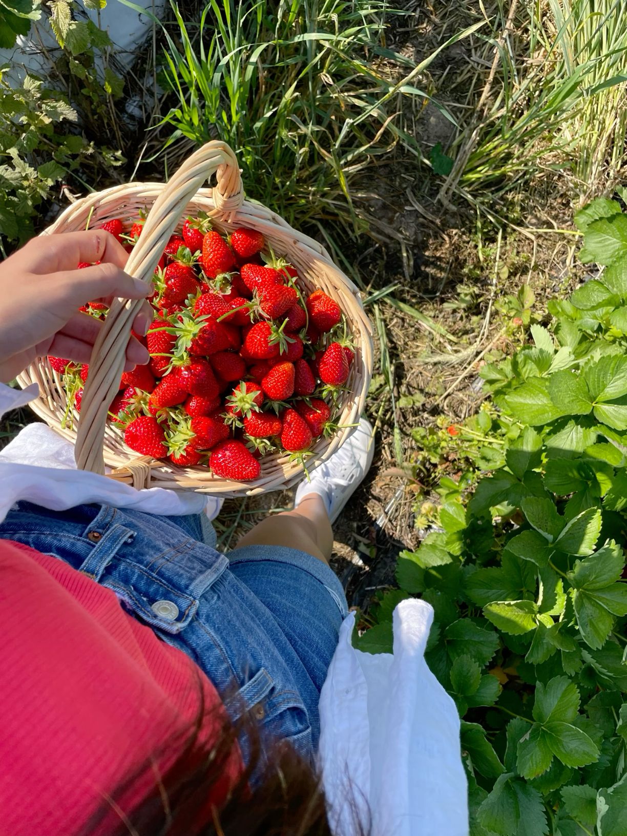 strawberry picking outfit ideas 0014