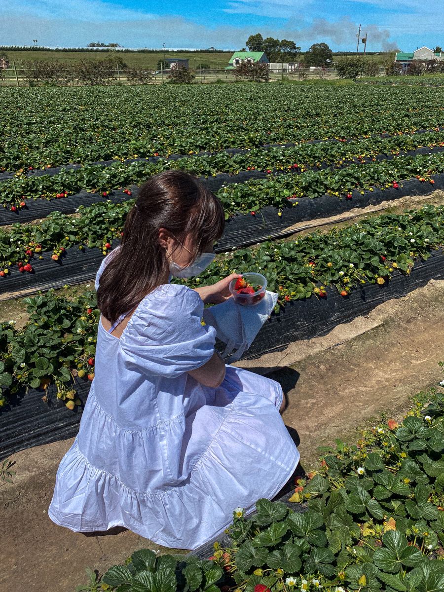 strawberry picking outfit ideas 0033