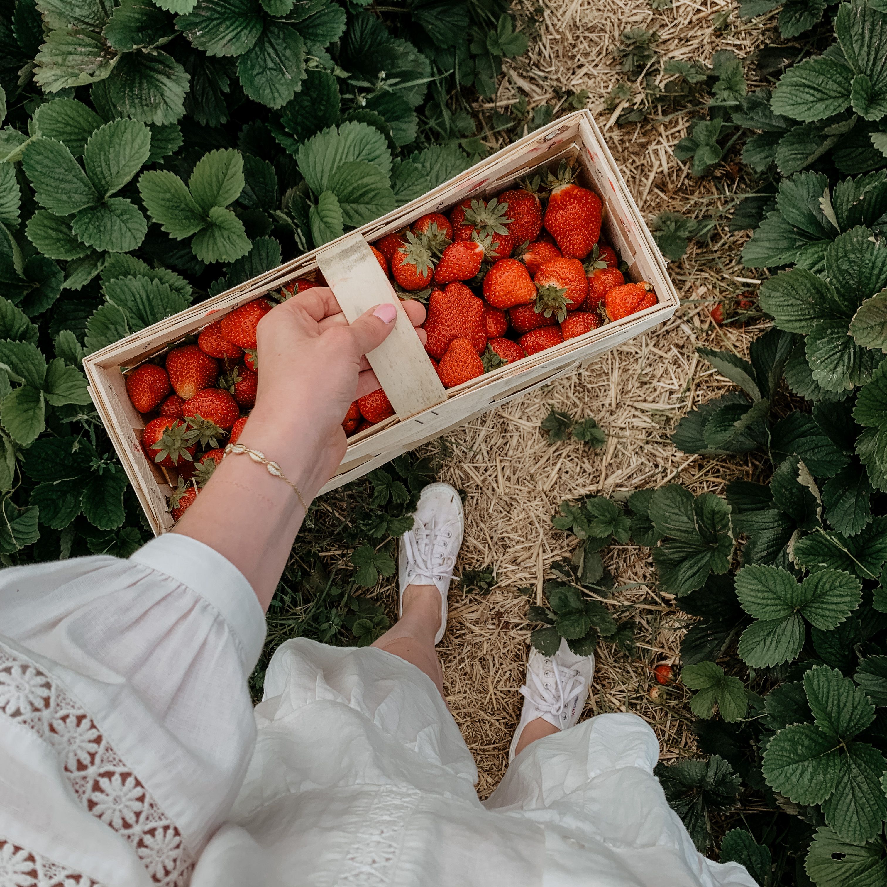 strawberry picking outfit ideas 0047