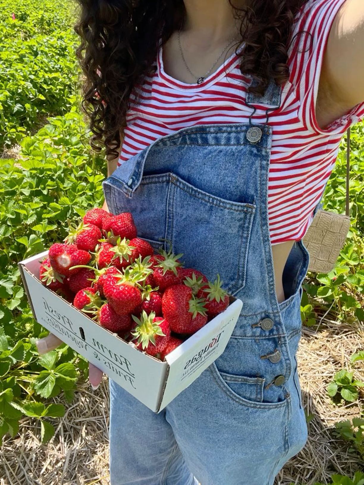 strawberry picking outfit ideas 0050