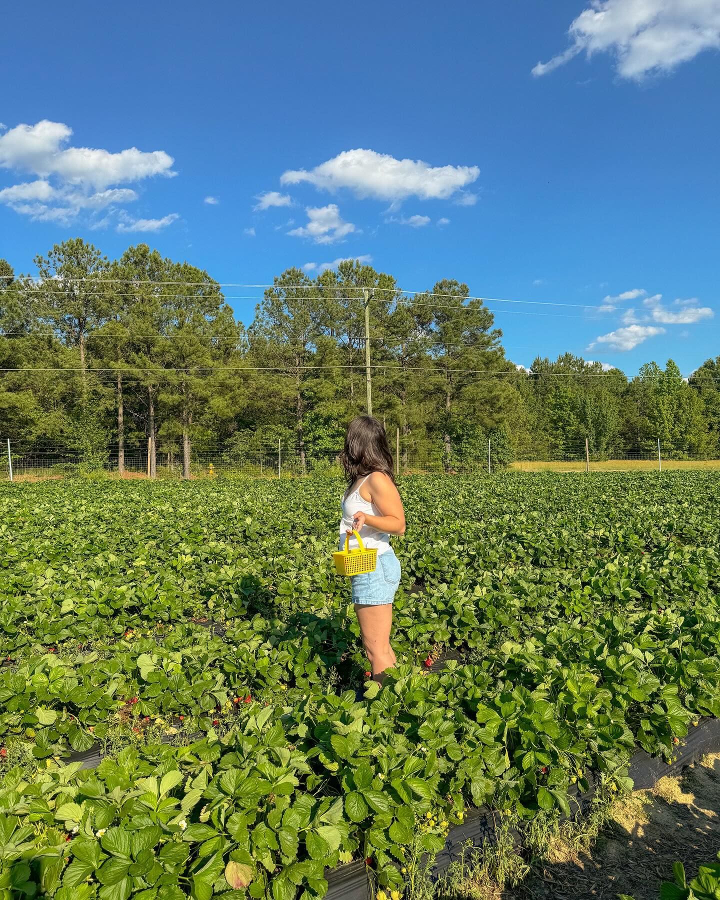 strawberry picking outfit ideas 0053