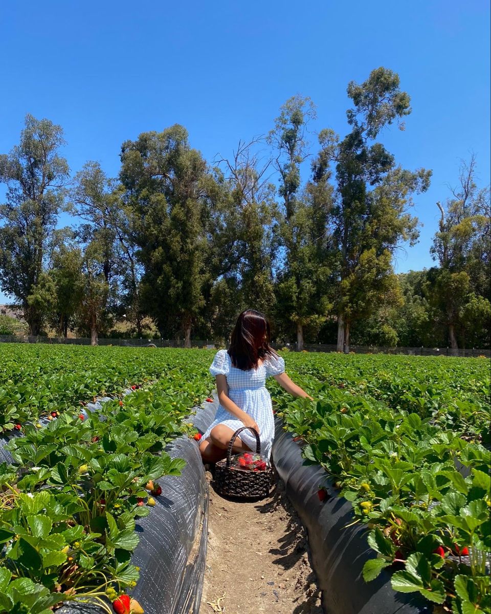 strawberry picking outfit ideas 0056