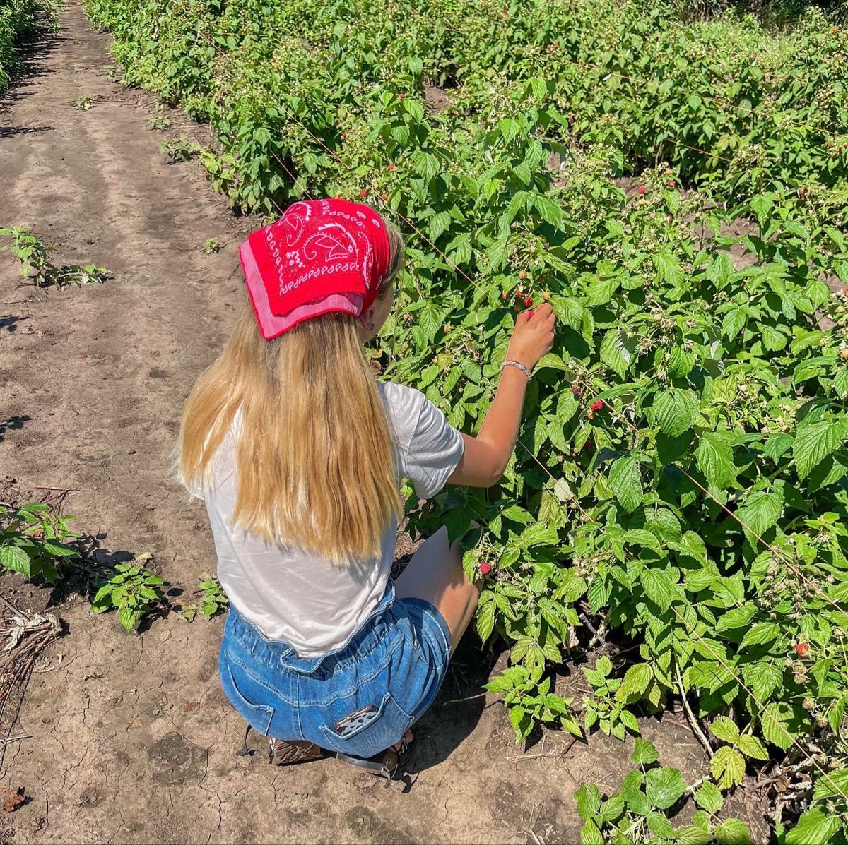 strawberry picking outfit ideas 0060