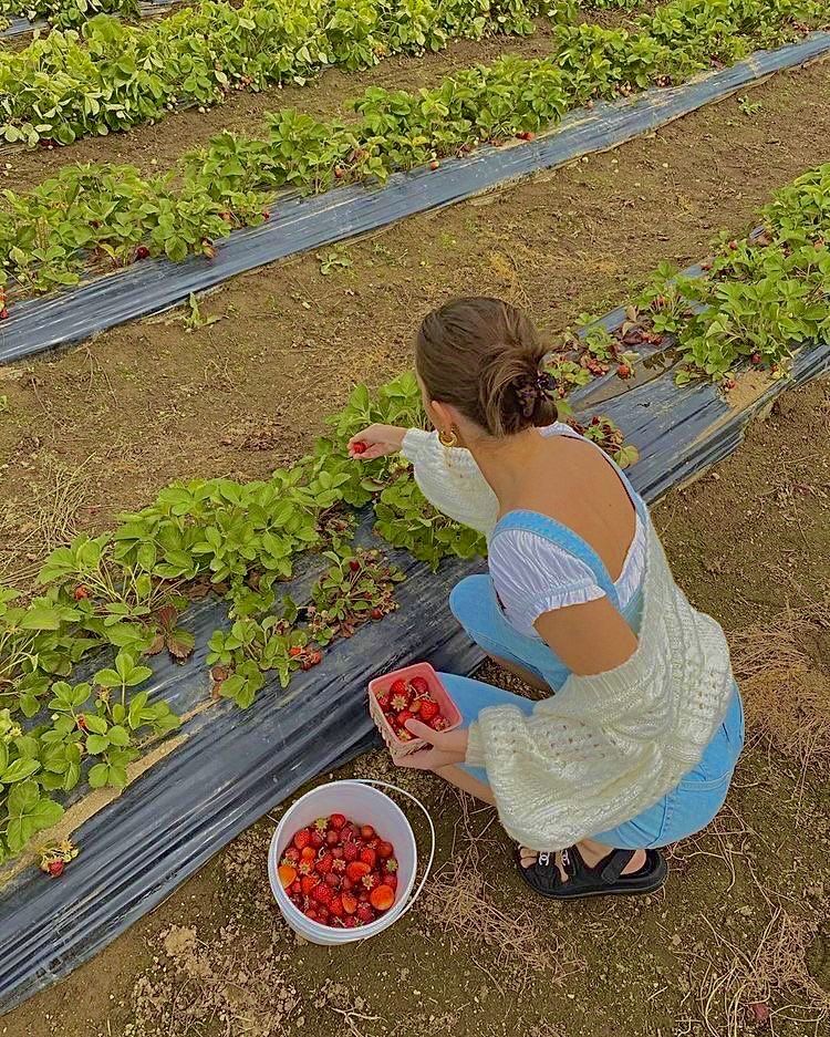 strawberry picking outfit ideas 0090