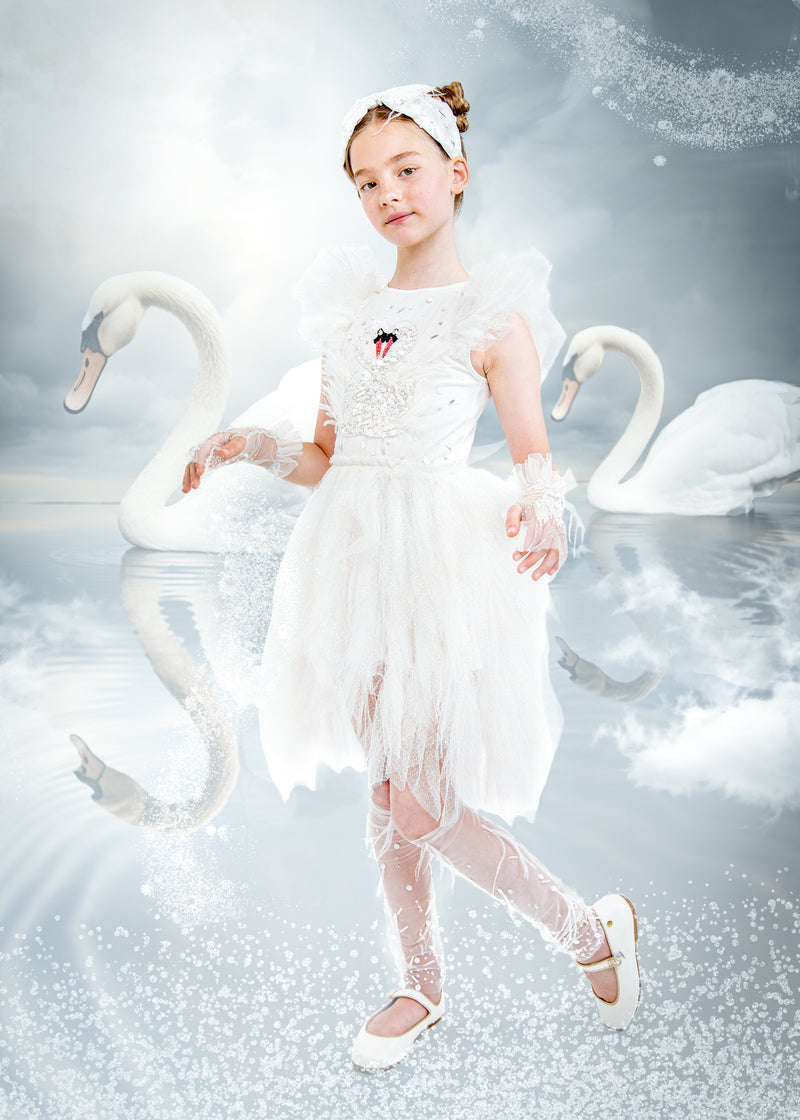 Swan Lake outfit ideas 0013