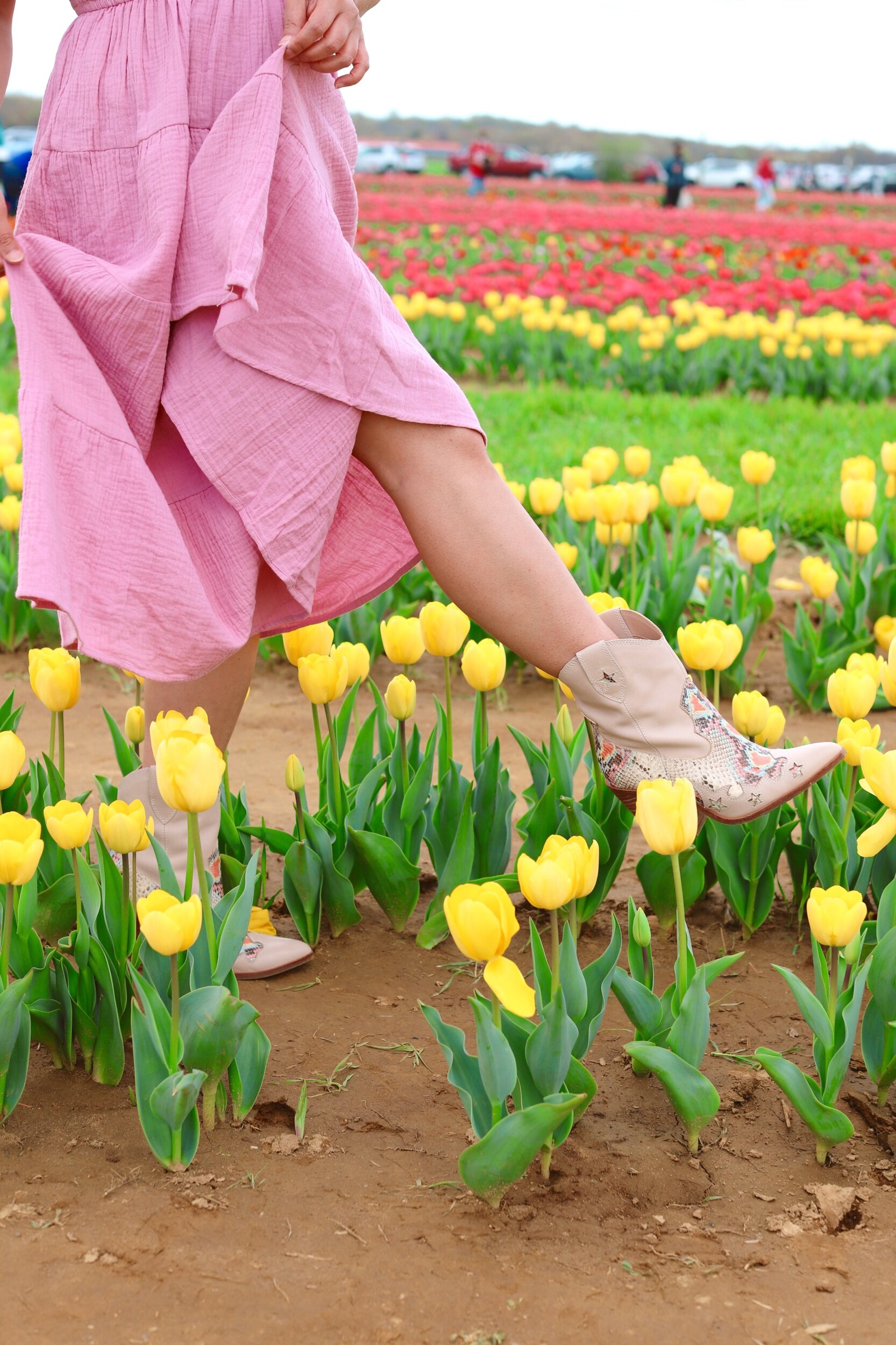 tulip farm outfit ideas 0011