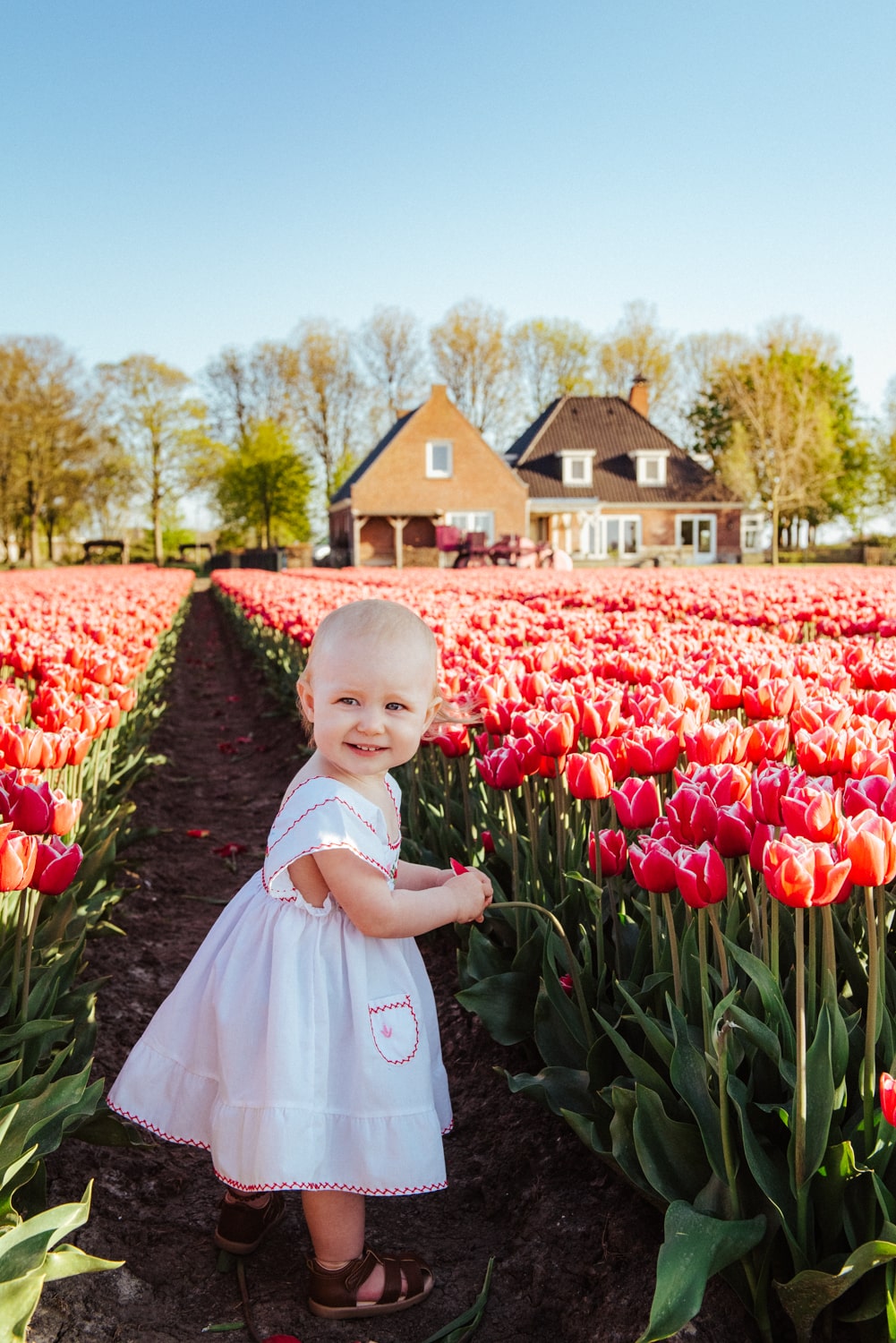 tulip farm outfit ideas 0025