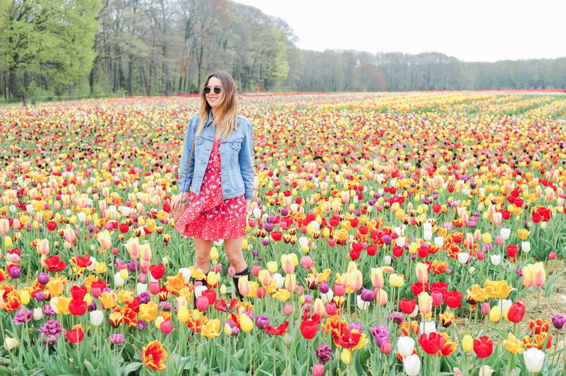 tulip farm outfit ideas 0033