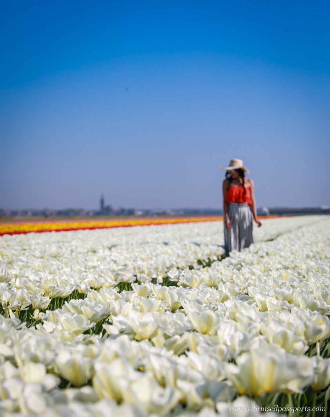 tulip farm outfit ideas 0098