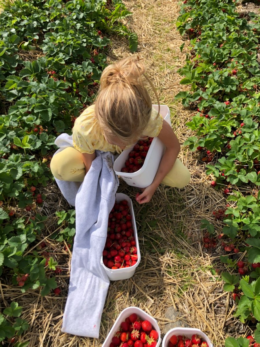 Strawberry picking outfit ideas to bring fun and style to your day out